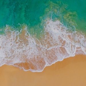 Meet your Posher, Tanora